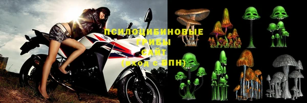 прущие крисы Горно-Алтайск