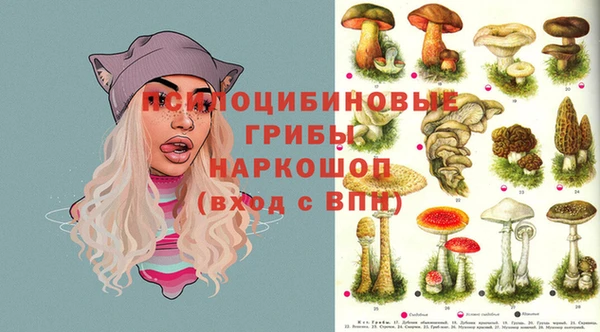 прущие крисы Горно-Алтайск