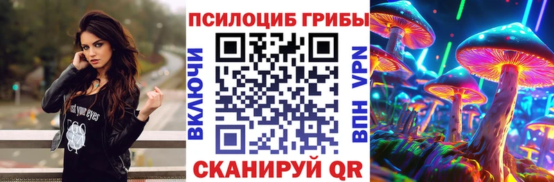 что такое   Дрезна  Псилоцибиновые грибы Magic Shrooms 