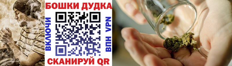 Шишки марихуана OG Kush Дрезна